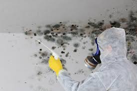 Best Forensic Mold Investigation  in South Oroville, CA